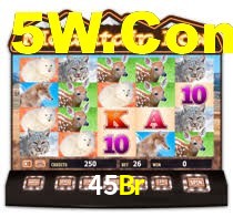 45Br Bet